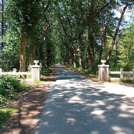 Chalet De Bult White 2 Persons المظهر الخارجي الصورة